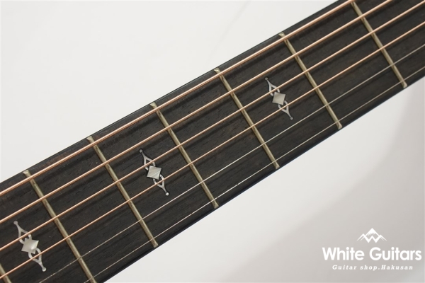 312ce 12Fret V-Class